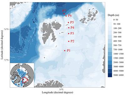 Seasonality of the bacterial and archaeal community composition of the Northern Barents Sea